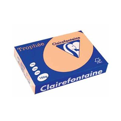 RAME A4 160GR SAUMON CLAIREFONTAINE