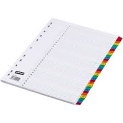 INT 31T NUMERIQUE COULEURS STAPLES