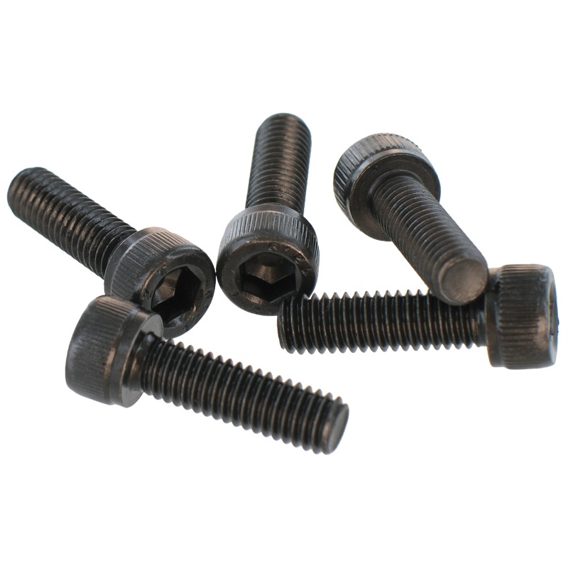 Bottle of 50 screws for pads - CHC M6x20