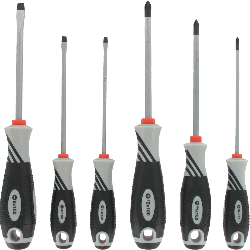 Set of 6 professional screwdrivers