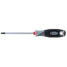 T25 screwdriver