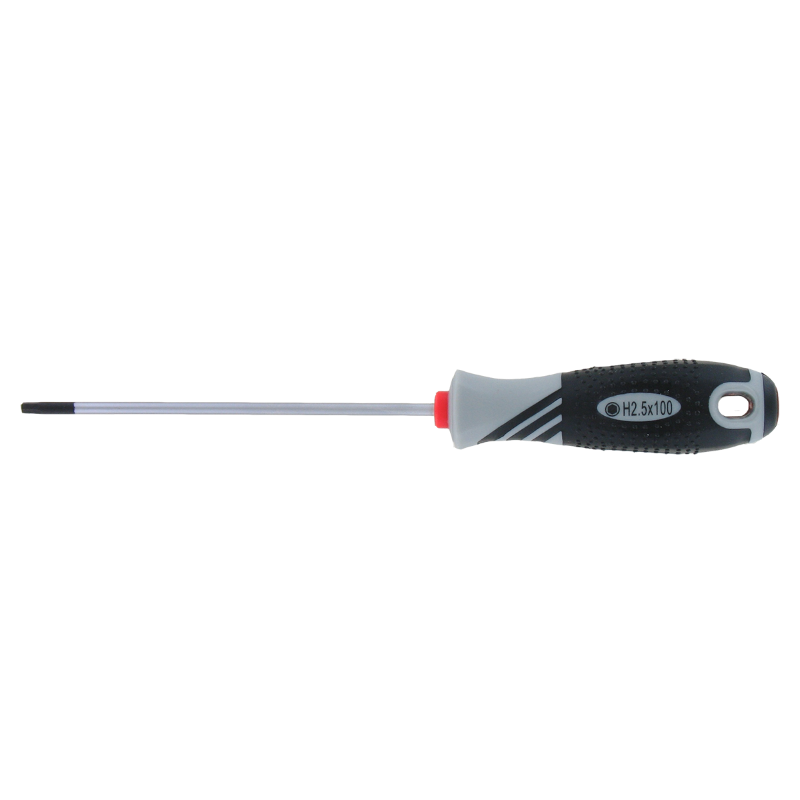 2.5mm hex screwdriver