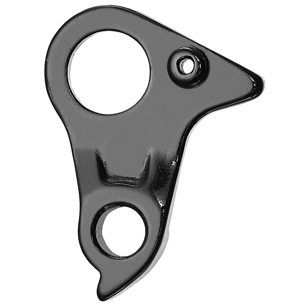 Derailleur hanger Felt