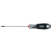 T10 screwdriver