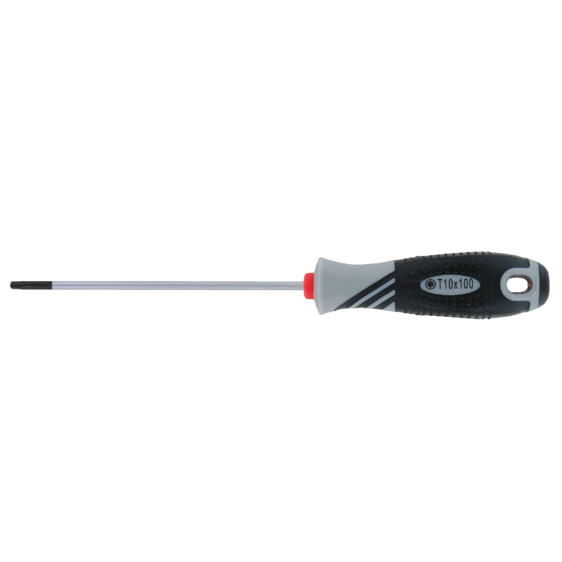 T10 screwdriver