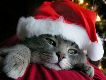 Test my blog