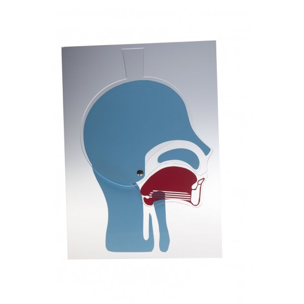 Tête articulée pour libération des voies