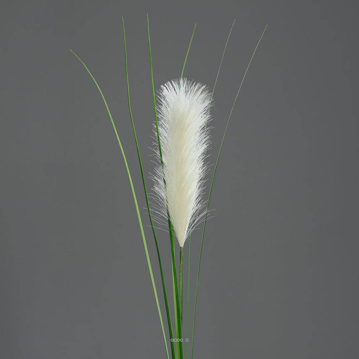 Herbe de la pampa artificielle H 97 cm superbe plumeau du ...