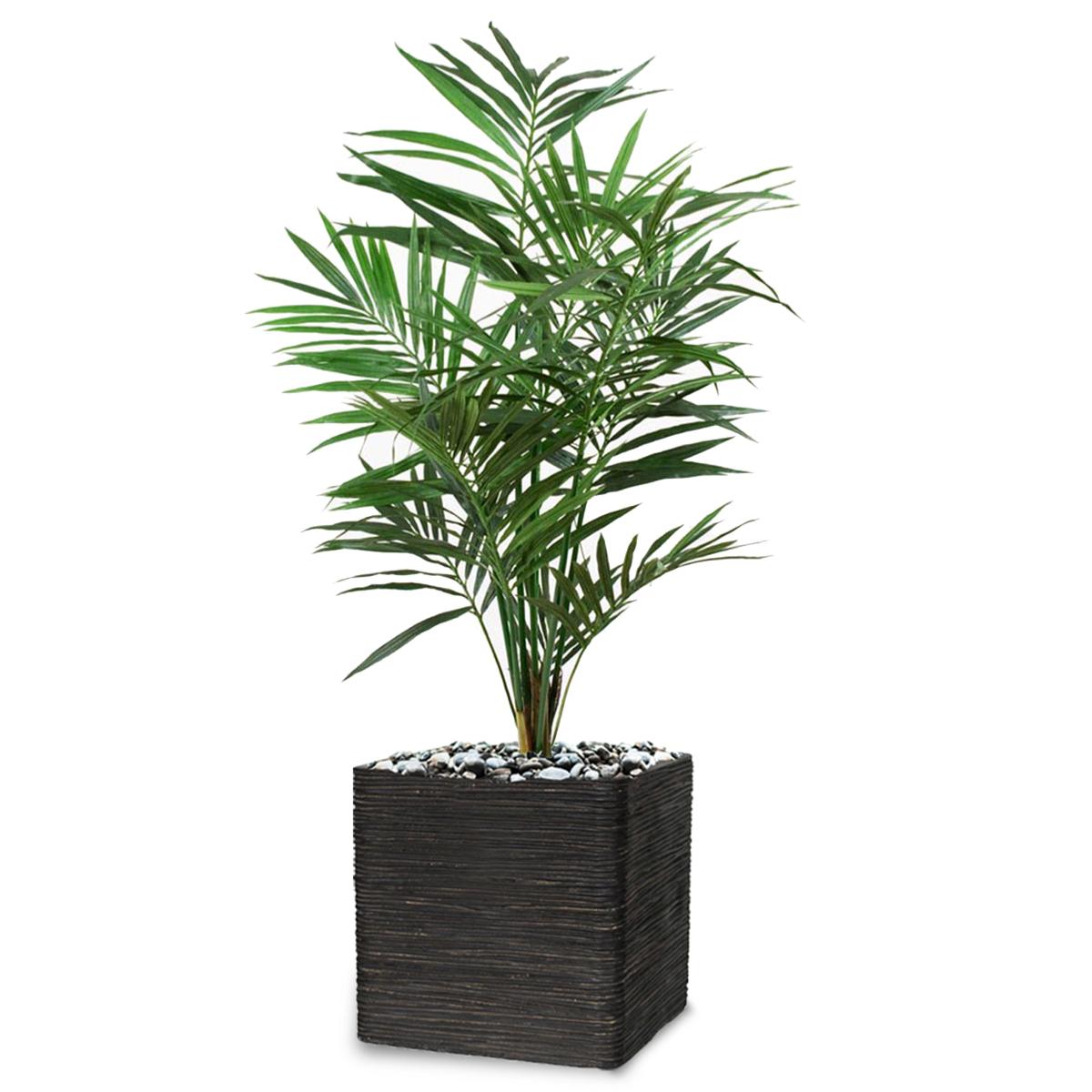 Palmier Kentia Artificiel-150cm