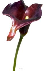 Artificielles.com Muguet Artificiel 1 Brin avec Feuillage H 21 cm Superbe
