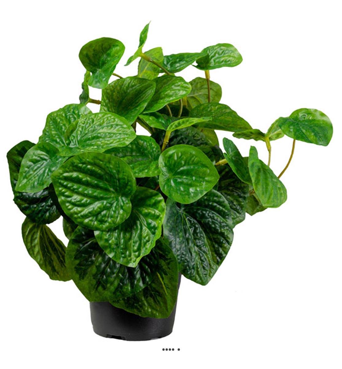 Peperomia plante verte artificielle en pot H 25 cm D 25 cm ...