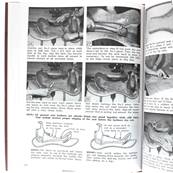 Livre "The Stohlman Encyclopedia of Saddle Making" - L'Encyclopédie de la Fabrication des Selles