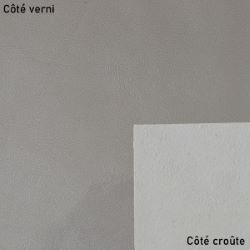 Morceau de croûte de cuir verni - ARGENT F33