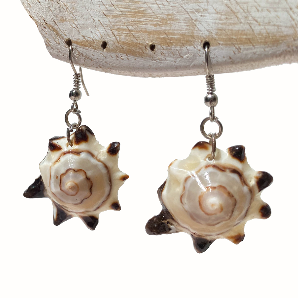 Boucles d'oreilles Originales Coquillages naturels