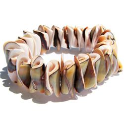 Bracelet en coquillage naturels porcelaine Strombus
