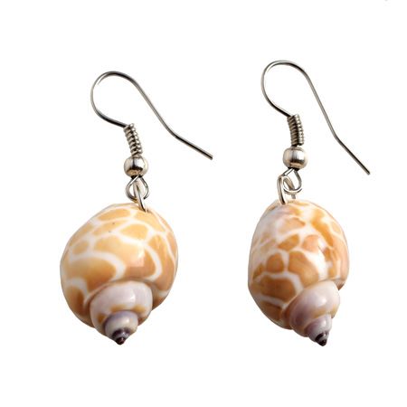 Boucles d'oreilles petits coquillages naturels babylonia spirata artisanat de Bali