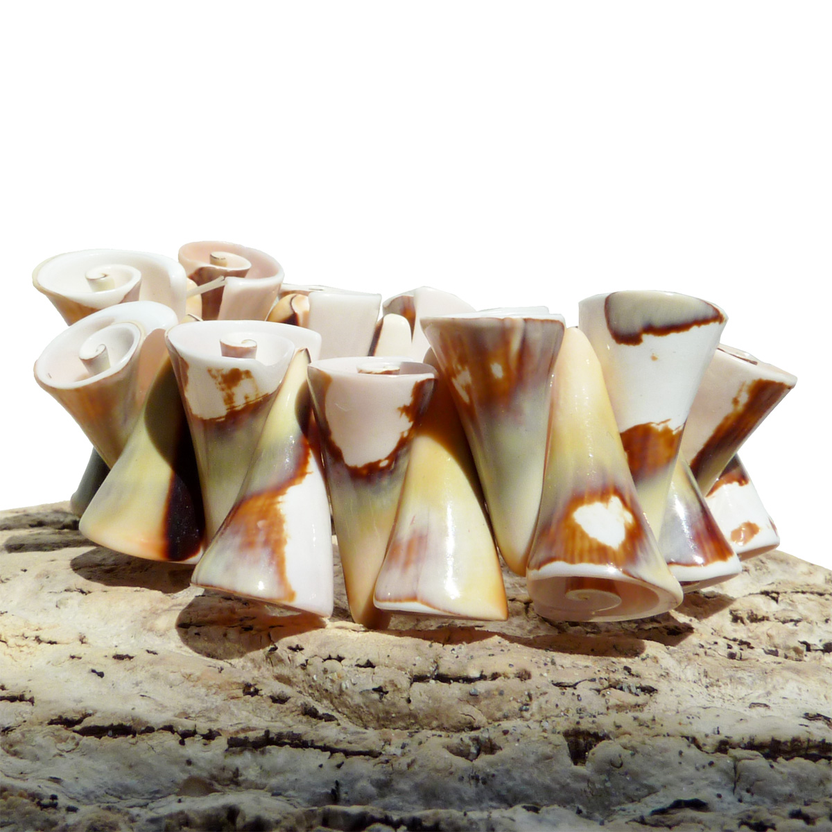Bracelet original en coquillages naturels porcelaine Strombus