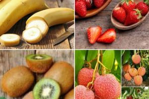 LE PANIER DE FRUITS FRAIS<br>Pour 10 à 15 personnes