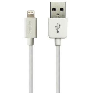 Câble Lightning USB (certifié MFi) 1m iPhone iPod iPad (2012-...)