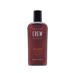 Shampoing Quotidien Cheveux Gris American Crew 250ml