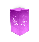Pack de 10 lanternes de jardin Maya