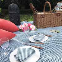 Cesta picnic para 4 personas Saint-Germain - Vichy verde