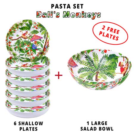 Melamine pasta set: 1 salad bowl + 6 soup plates (including 2 FREE) Bali Monkeys Theme