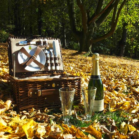 Pique-nique en Automne - Quels sont les meilleurs paniers picnic ?