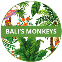 Bali's Monkeys Theme Melamine tableware