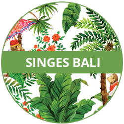 Assiettes verre trempé Singes de Bali