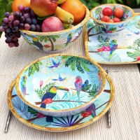 Large Soup-Pasta plate in melamine - 23 cm - Toucans of Rio