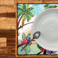 Tischset (40 x 30 cm) verkauft bei 6 - Tukanen von Rio thema