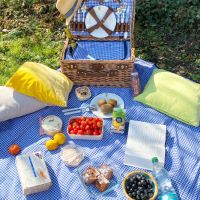 Manta para picnic, vichy azul, impermeable (140 x 140 cm)