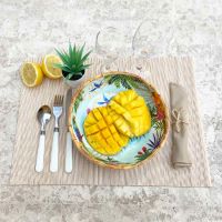 Large Soup-Pasta plate in melamine - 23 cm - Toucans of Rio