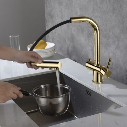 Apala 3-Way Pull-Out Kitchen Filter Tap Gold