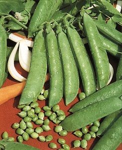 POIS NAIN Téléphone  bte 200 g