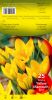 Crocus Yellow Mammouth jaune 8+ Pochette de 20 - code F