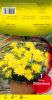 DAHLIA BORDER Munchen cactus jaune Pochette - code A