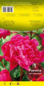 PIVOINE Paeonia Karl Rosenfield rouge Pochette - code F