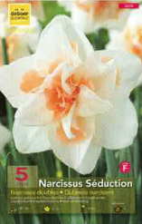 Narcisse Séduction Pochette de 5 - code F