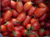 Tomate Roma V.F. Pqt 100 g