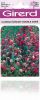 Clarkia élégant double  sachet  2 g