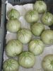 Courgette de Nice à fruit rond Pqt 100 g