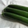 Courgette PIXAR HF1 Pqt 25 g