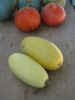 Courge spaghetti BIO sachet 2 g