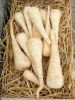 Panais demi-long de Guernesey Paquet  25 g