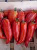 Tomate Cornue des Andes Pqt 5 g