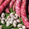 Haricot nain coco à écosser Borlotto Flambo sac de 5 kg
