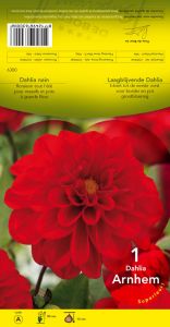 DAHLIA BORDER Arnhem décoratif rouge Pochette - code A