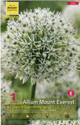 Allium Mount Everest 20+ blanc Pochette de 1 - code E